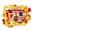 ngopulse.org Logo